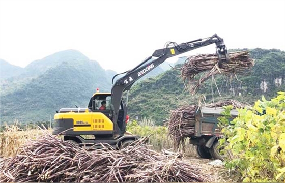 1 (11).jpg 1 (11).jpg