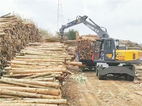 宝鼎抓木机.jpg 宝鼎抓木机.jpg