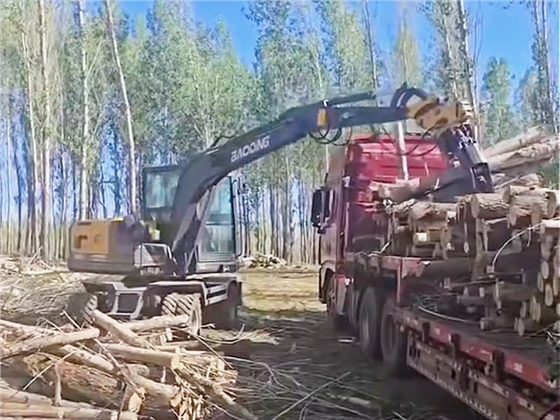 宝鼎BD80X轮式抓木机