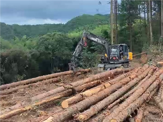 宝鼎抓木机抓长木.jpg 宝鼎抓木机抓长木.jpg