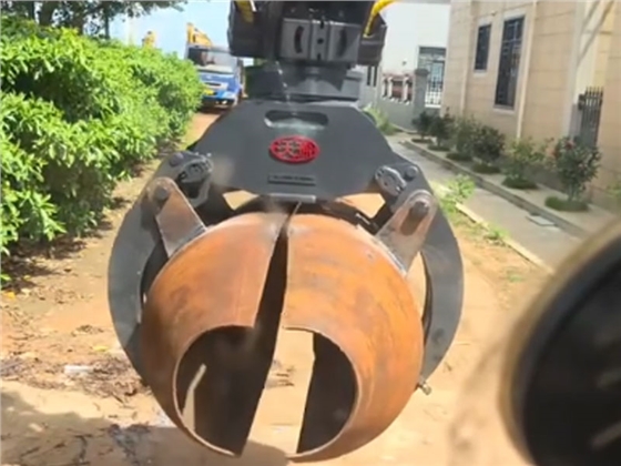 贝壳斗.jpg 贝壳斗.jpg