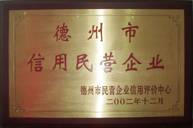 【德州市民营企业】-宝鼎荣誉