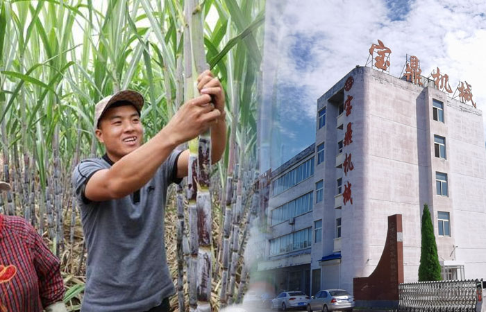 宝鼎抓甘蔗机 宝鼎抓甘蔗机