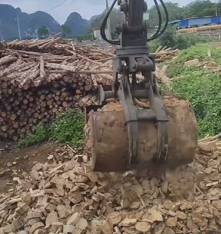 贝壳斗.png 贝壳斗.png