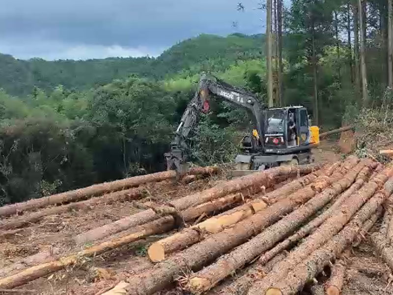 实力见证！宝鼎抓木机轻松驾驭长木作业