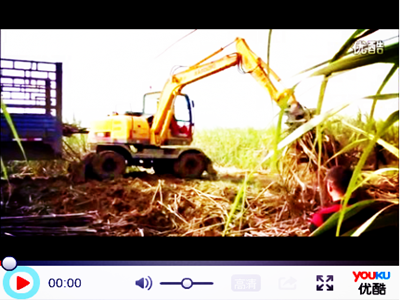宝鼎轮式95抓木机（蔗木装卸机）工作视频
