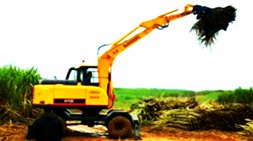 我国将全面推动农业自动化宝鼎抓木机(甘蔗抓装机)广西大显身手