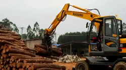 宝鼎蔗木装卸机 省钱效率高质量深受广西客户信赖