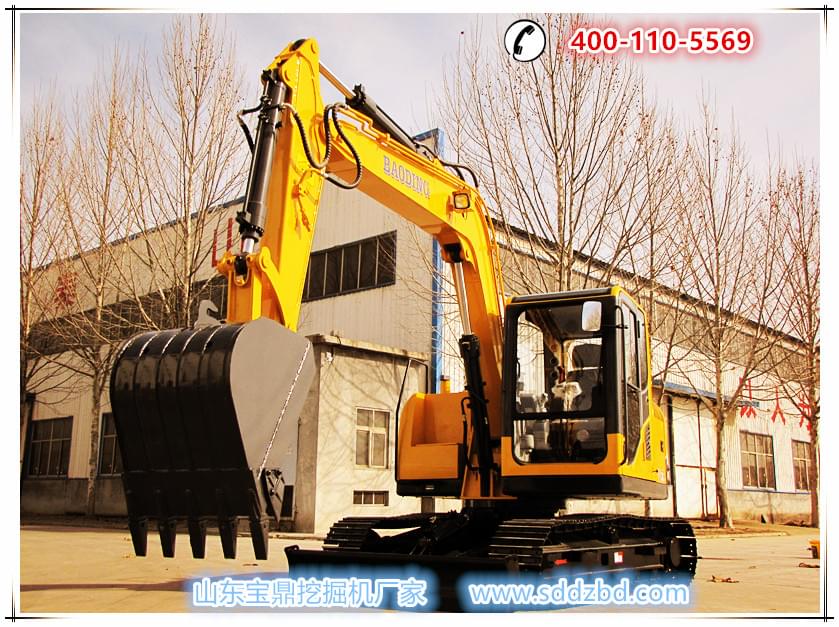 每个细节臻于完美,宝鼎小型挖掘机高端履带产品WY80亮相