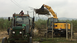 宝鼎小型挖掘机考虑您的一切，做您走向幸福道路的佳伴侣