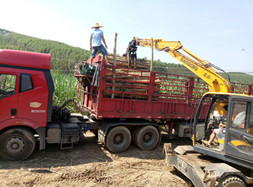 宝鼎轮式抓木机BD95W-9车型——价值的完美体现