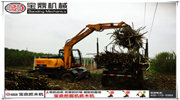 2017年初宝鼎抓木机产品在甘蔗收获和林木装卸市场依旧热销