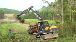 宝鼎抓木机厂家遍地开花，国内抓木机市场分布均匀
