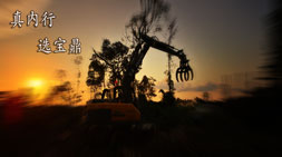 宝鼎抓木机厂家不断提高赢得市场