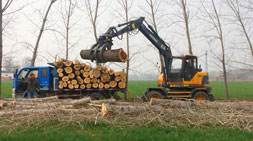 宝鼎95抓木机挣钱才是硬道理