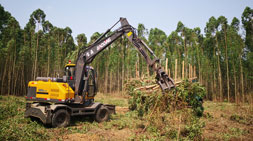 宝鼎95抓木机市场实践经典车型