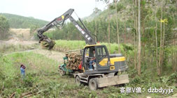 宝鼎95抓木机隐藏不住的洪荒之力