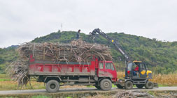 广西，宝鼎抓木机甘蔗抓机与你一起奋斗