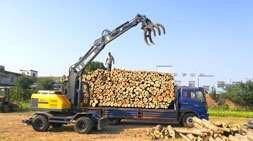 宝鼎95抓木机河南站