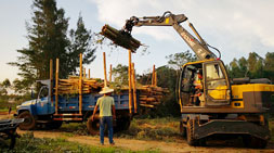 不负韶华之宝鼎抓木机厂家巅峰之作