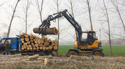 2019闪耀下的宝鼎轮式挖掘机抓木机