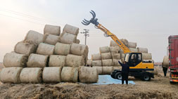 小型抓木机精细化需求