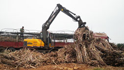 宝鼎抓木机让钱装满你的钱袋子