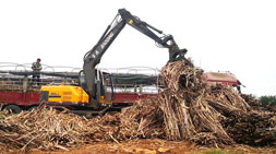 广西抓木机需求同比下滑宝鼎抓木机厂家逆流而上