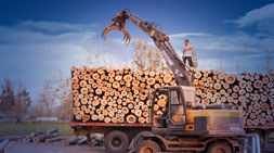 宝鼎轮式挖掘机抓木机-从未触碰过的高效